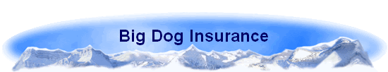 Big Dog Insurance
