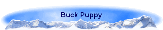 Buck Puppy